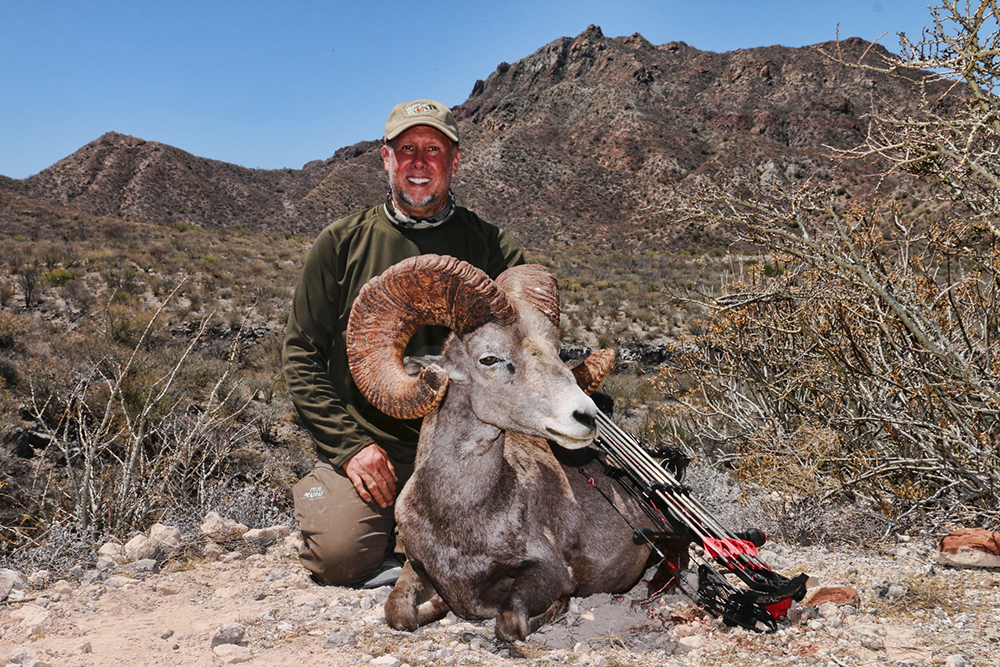 Fred Sweisthal and his Desert Bighorn Sheep