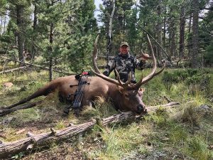 Fred Sweisthal and Rocky Mountain Elk - 4