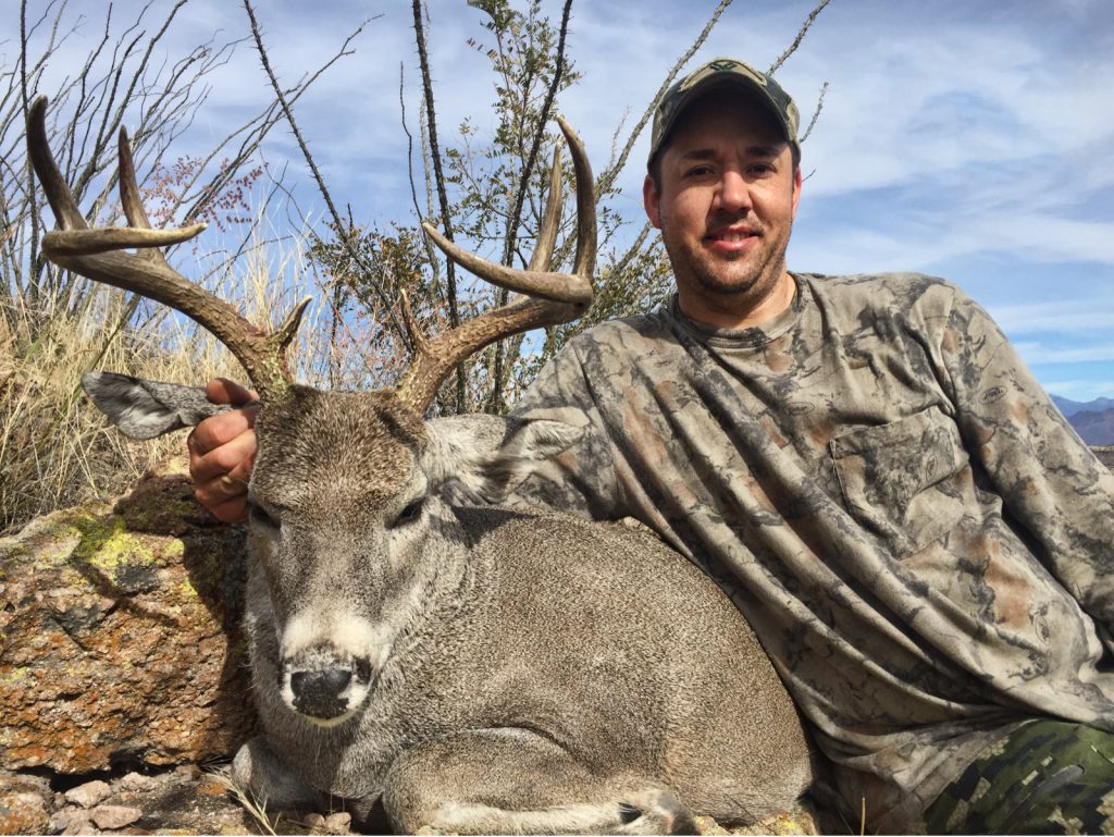 Arizona Cues Deer -4