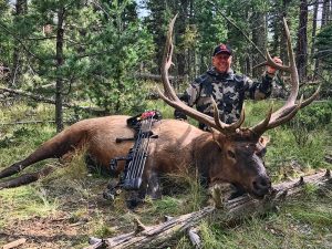 Fred Sweisthal with Rocky Mountain Elk - 2