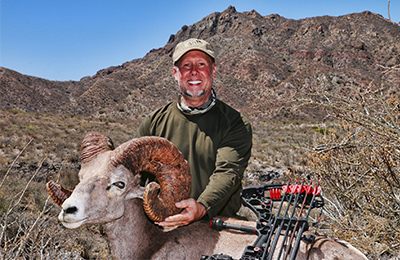 Desert Big Horn Sheep - Carmen Island - by Fred Sweisthal