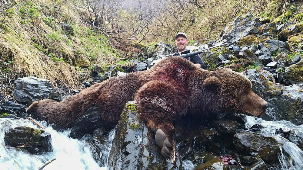 Kodiak Island Brown Bear Hunt - Hunt #301