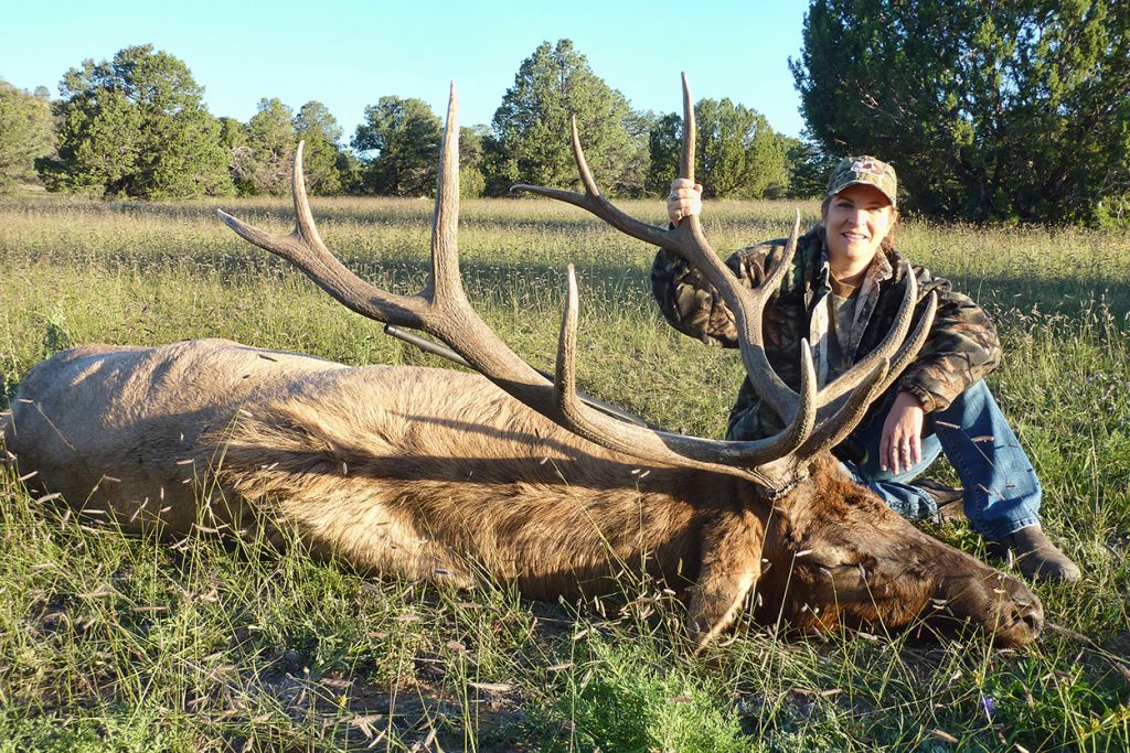 New Mexico Elk Hunt - 4