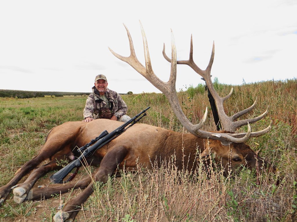 New Mexico Trophy Elk Hunt Quality Hunts