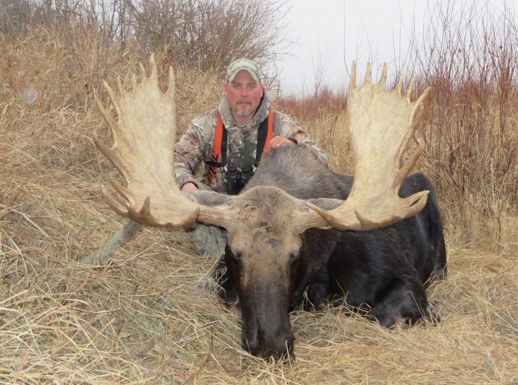 Canadian Moose - Quality Hunts