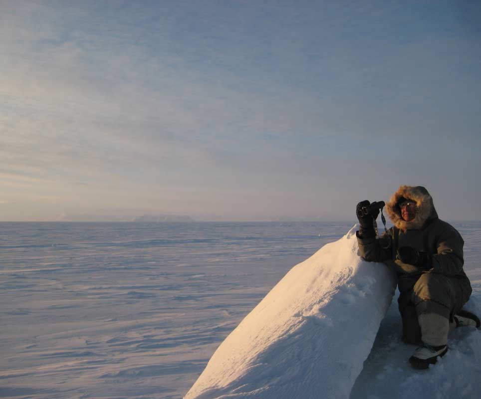 Polar Bear in the Frozen Arctic - 21