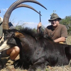 Sable Bull South African Hunt Safari - Hunt 1177