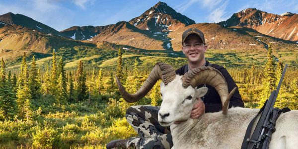 Huge Discounted Dall Sheet Hunt - Alaska