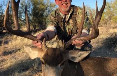 Mule Deer -11