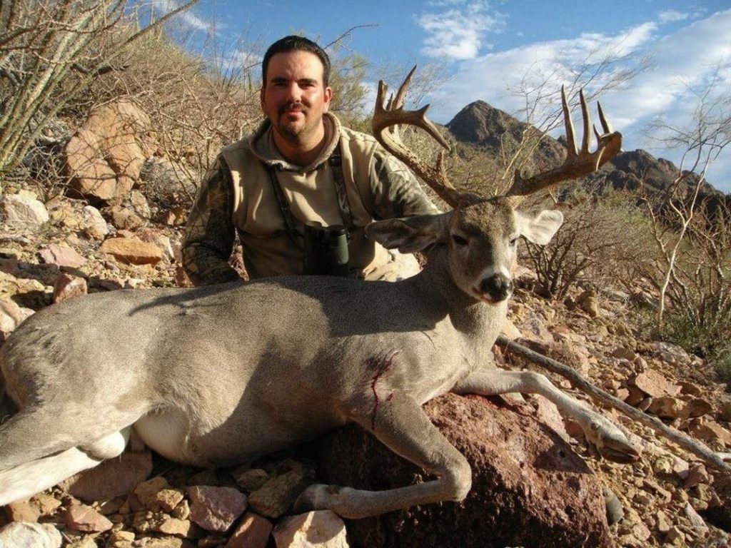 Whitetail Coues Deer - Sonora
