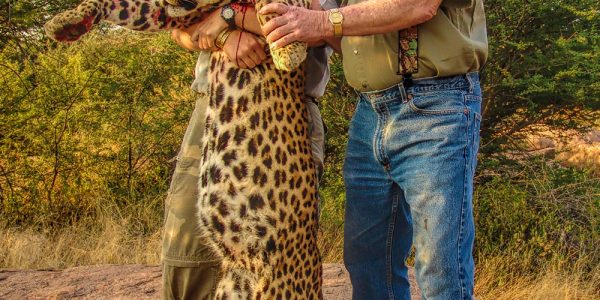 South African Leopard Hunt