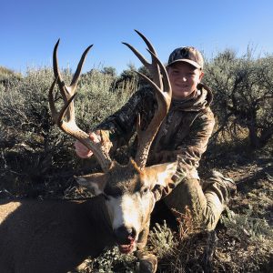 Wyoming Mule Deer - Archery DIY