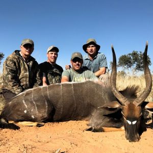 Nyala South African Hunt - 2