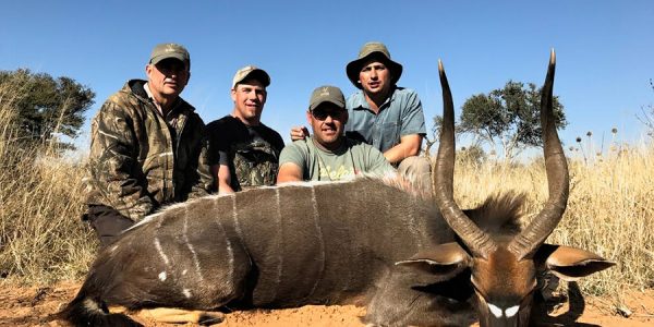 Nyala South African Hunt - 2