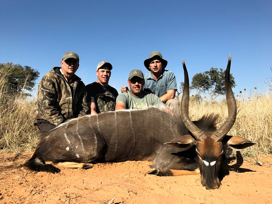 Nyala South African Hunt - 2