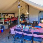 Canadian Remote Fly-In-Baited Black Bear - Tent - Campground