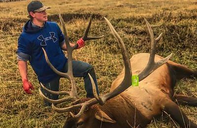 Bull Elk trophy and hunter