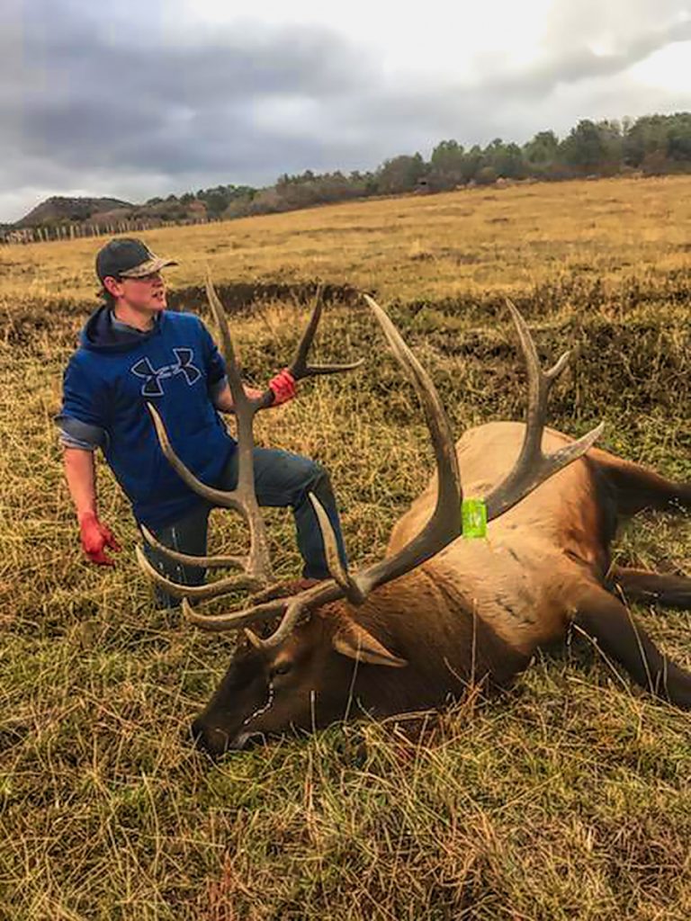 Bull Elk trophy and hunter