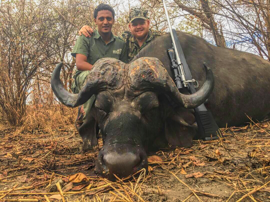 African Buffalo - Quality Hunts