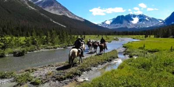 California Big Horn Sheep - horseback riding along river