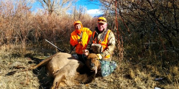 Cow Elk Hunt - hunters and cow elk