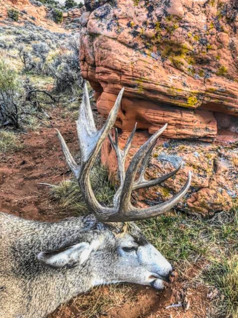 OTC Bull Elk Archery Hunt -7