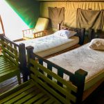 Nambia Plains Game Hunt III - Tent Bedroom