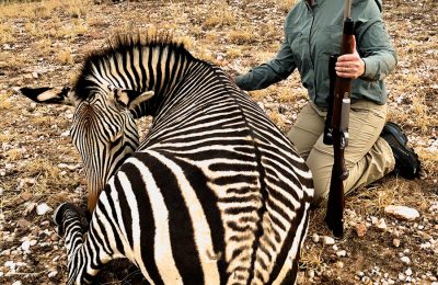 Namibia Plainsgame Hunt - Zebra