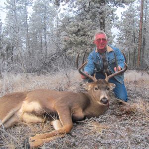 Mule Deer Hunt in British Columbia, Canada