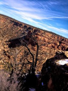 Quality Hunts - Arizona Mountain Lion Hunt - rugged mountain scenery 11