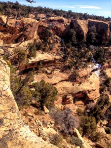 Quality Hunts - Arizona Mountain Lion Hunt - rugged mountain scenery 22
