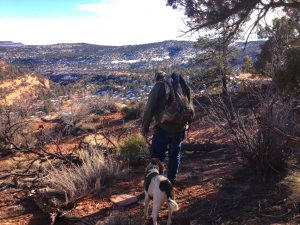 Quality Hunts - Arizona Mountain Lion Hunt - rugged mountain scenery 26