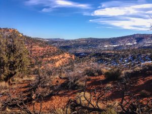 Quality Hunts - Arizona Mountain Lion Hunt - rugged mountain scenery 27