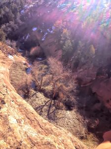 Quality Hunts - Arizona Mountain Lion Hunt - rugged mountain scenery 30