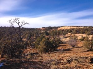 Quality Hunts - Arizona Mountain Lion Hunt - rugged mountain scenery 31