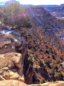 Quality Hunts - Arizona Mountain Lion Hunt - rugged mountain scenery 57