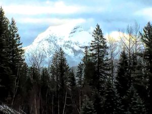 Mountain Lion Hunt 2 - British Columbia - Wow - View of Mountains