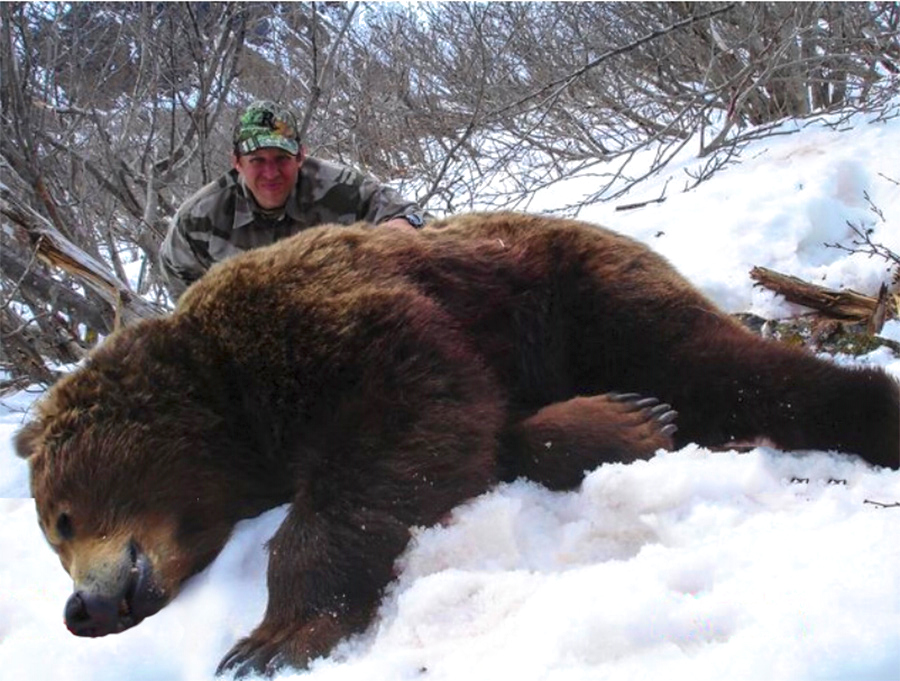 Alaskan Brown Bear Trophy by the Peninsula - Hunt 2327