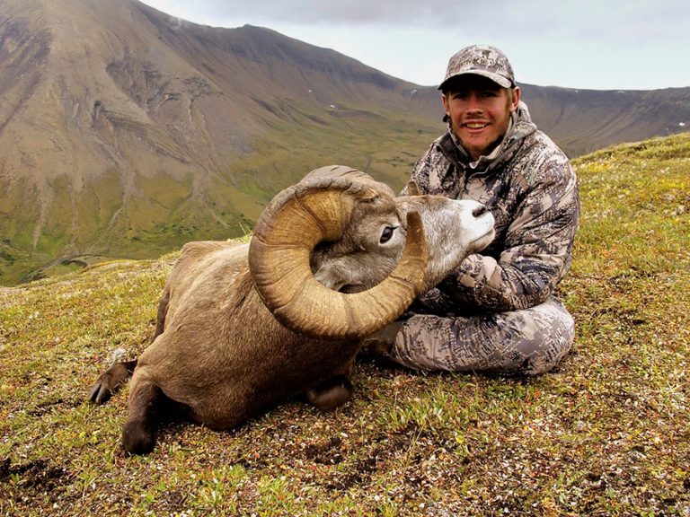 Canada Bighorn Sheep Hunt Quality Hunts