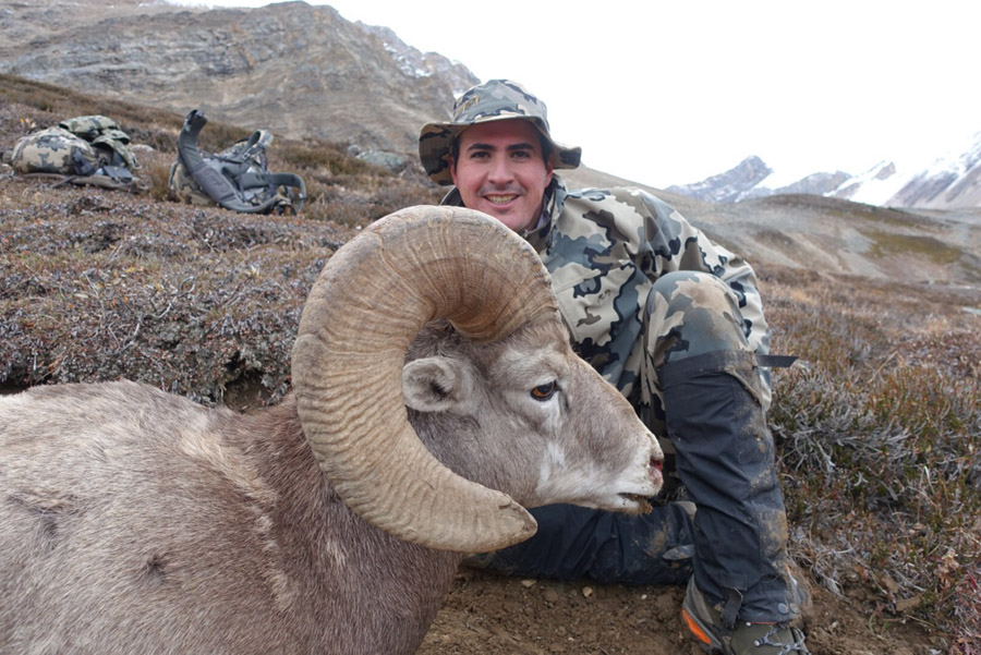 Canada Bighorn Sheep - Hunt 2364 - trophy and hunter
