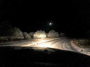 Mountain Lion Hunt 3 - Road conditions