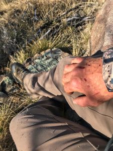 Mountain Lion Hunt 3 - hand with cuts