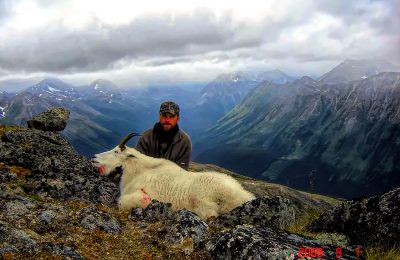Mountain Goat - Hunt 2638 - Trophy and hunters 2