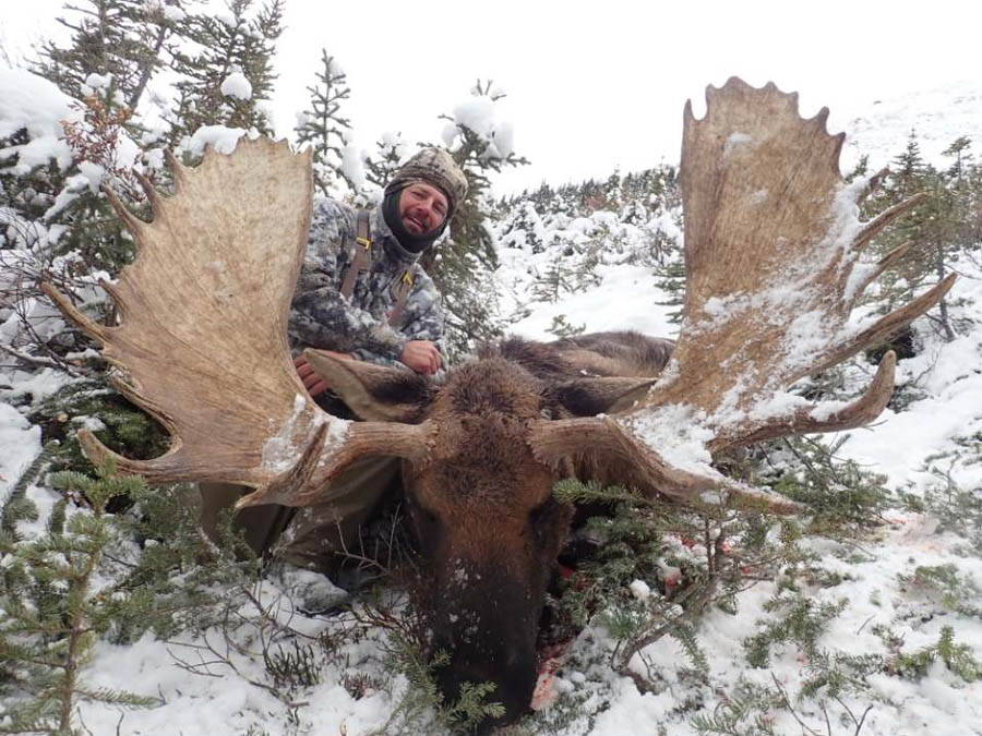 Yukon/Alaska Moose Trophy