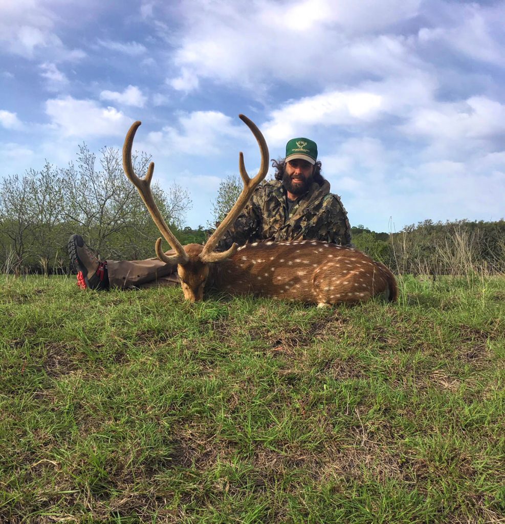 Hunt 3021 - Axis Deer Trophy and hunter - 2