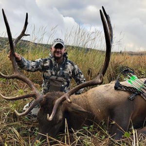 Hunt 3096 - Montana Hunt - Elk