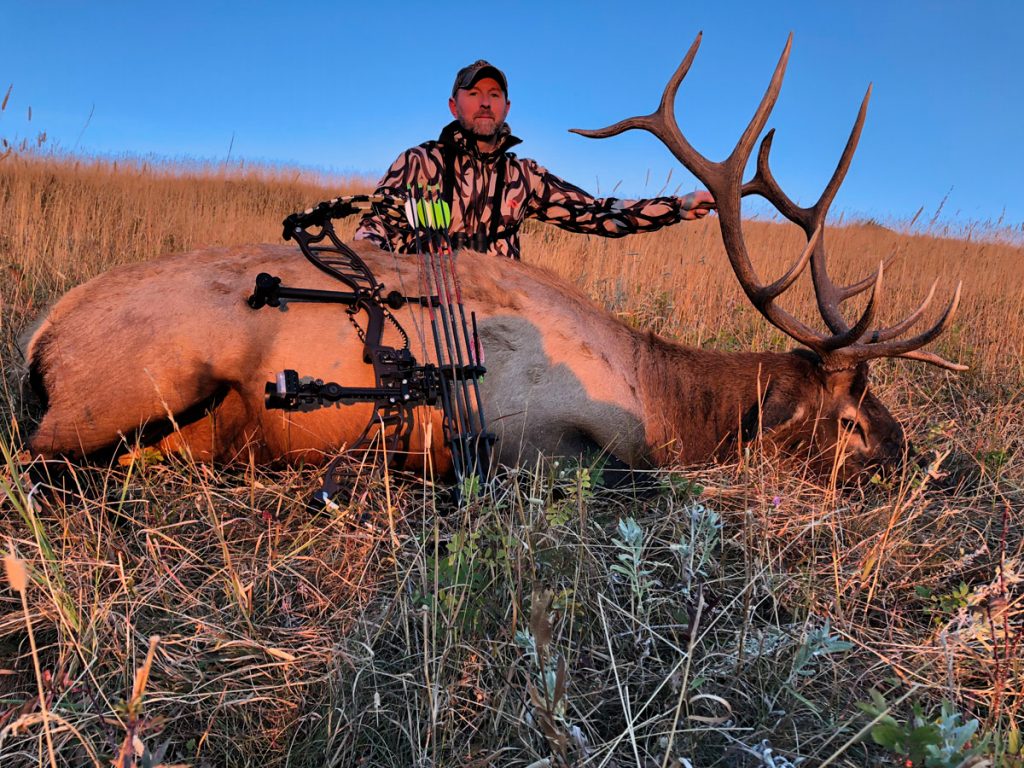 Elk - Hunt 3096 - Montana Hunt