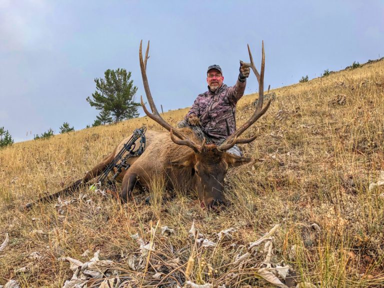 Montana Elk - Quality Hunts - Changing The Way Hunts Are Found