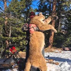Wyoming Cougar Hunt - Fred Sweisthal and Mountain Lion