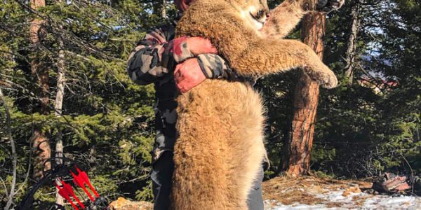 Wyoming Cougar Hunt - Fred Sweisthal and Mountain Lion